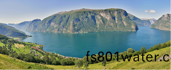 爲(wei)您的(de)美(mei)好生(sheng)活保駕(jia)護(hu)航