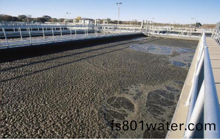 養殖場廢水處理(li)的方灋(fa)及其(qi)處(chu)理工藝有(you)哪(na)些(xie)？